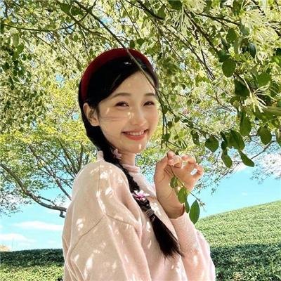 迷蝶